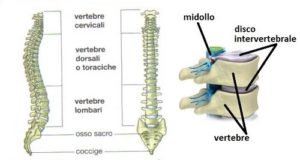 Visita ortopedica